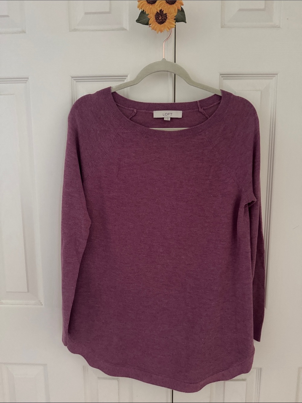 LOFT Crewneck Knit Pullover